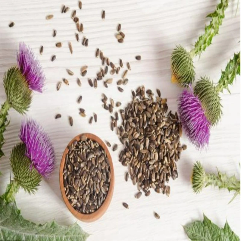 Water-Soluble Milk Thistle Extract for Beverage Ingredients Silymarin