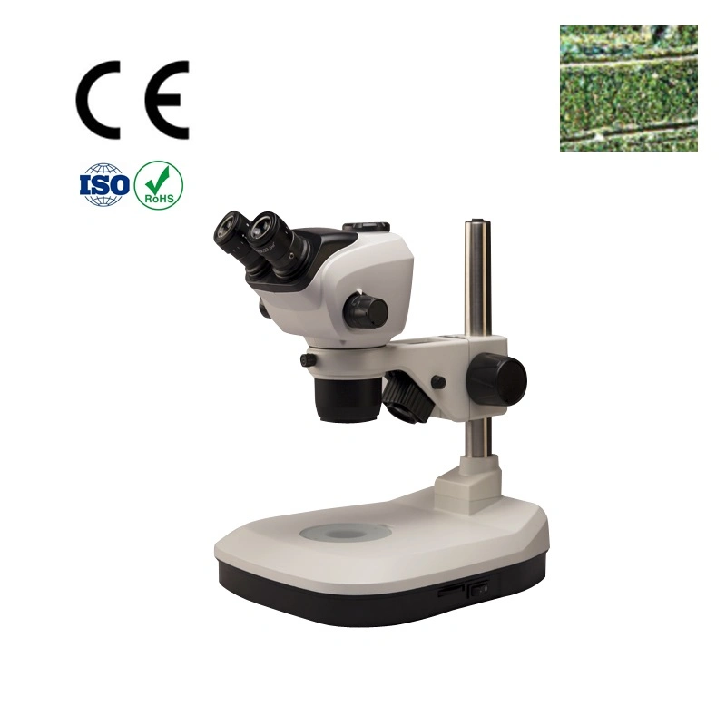 Microscopio estéreo con zoom RoHS portátil con montura C.