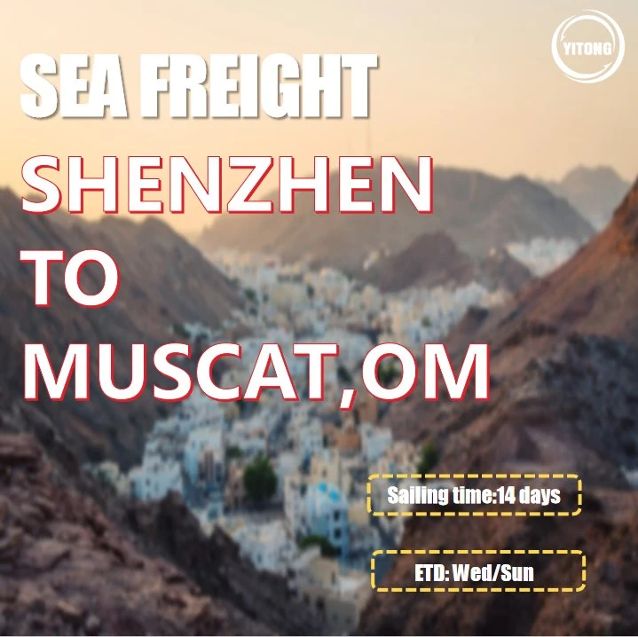 International Shipping by Sea From Shenzhen to Muscat Oman