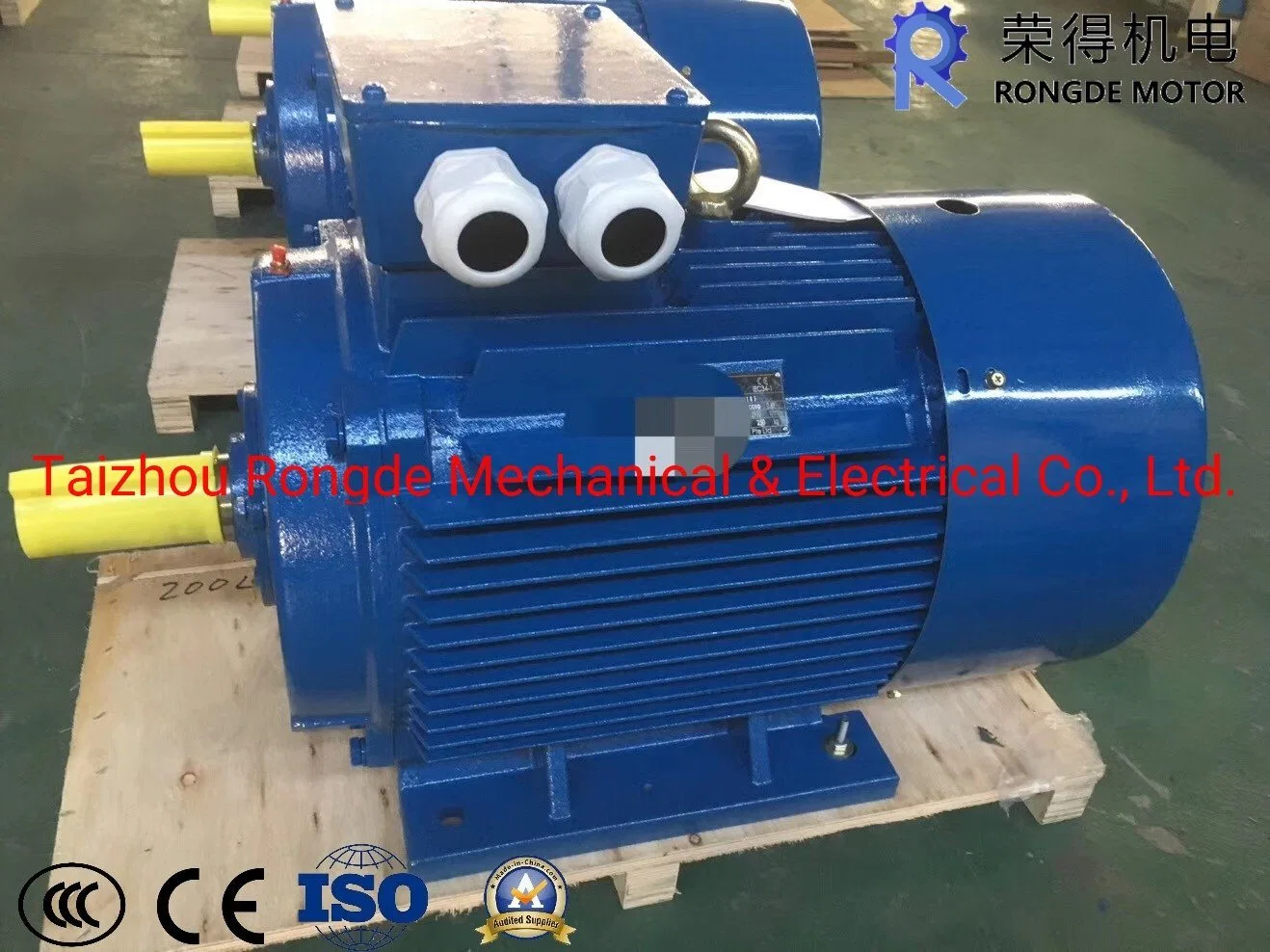 High Torque Motor Electric Generator Three Phase Induction Motor with CE ISO9001 Certificate