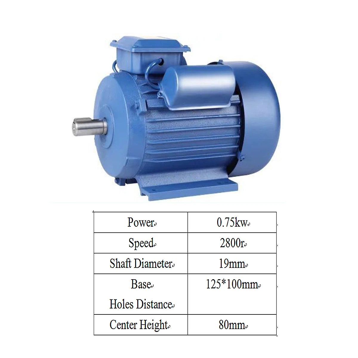 220V/230V 50Hz/60Hz Single Phase Capacitor Run Asynchronous Electric Motor