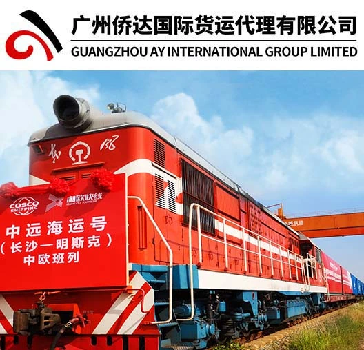 Garantie Fournisseur de chemin de fer de la Chine à Minsk, Bélarus par chemin de fer de la Chine Express