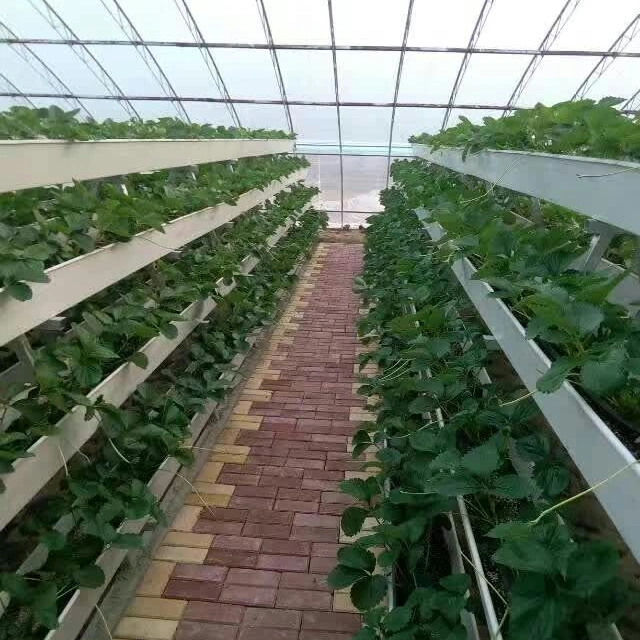 Green House Food Grade PVC Vertical Strawberry Planting Gully Channel Hydroponic Tower Nft System