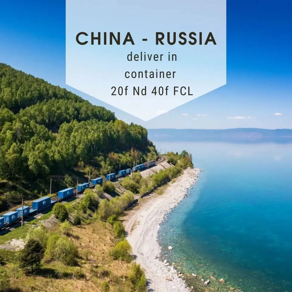 Order Freight China Russia We Deliver in Container 20f ND 40f FCL by Rail