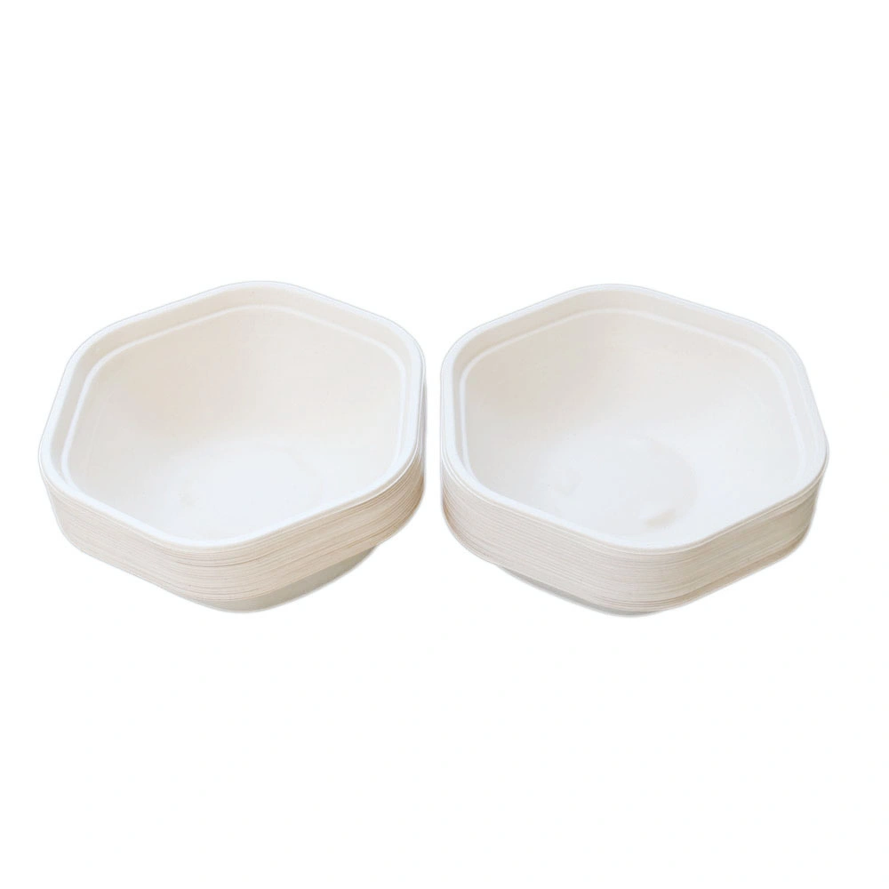 Biodegradable Tableware Disposable Boxes for Delicious Food