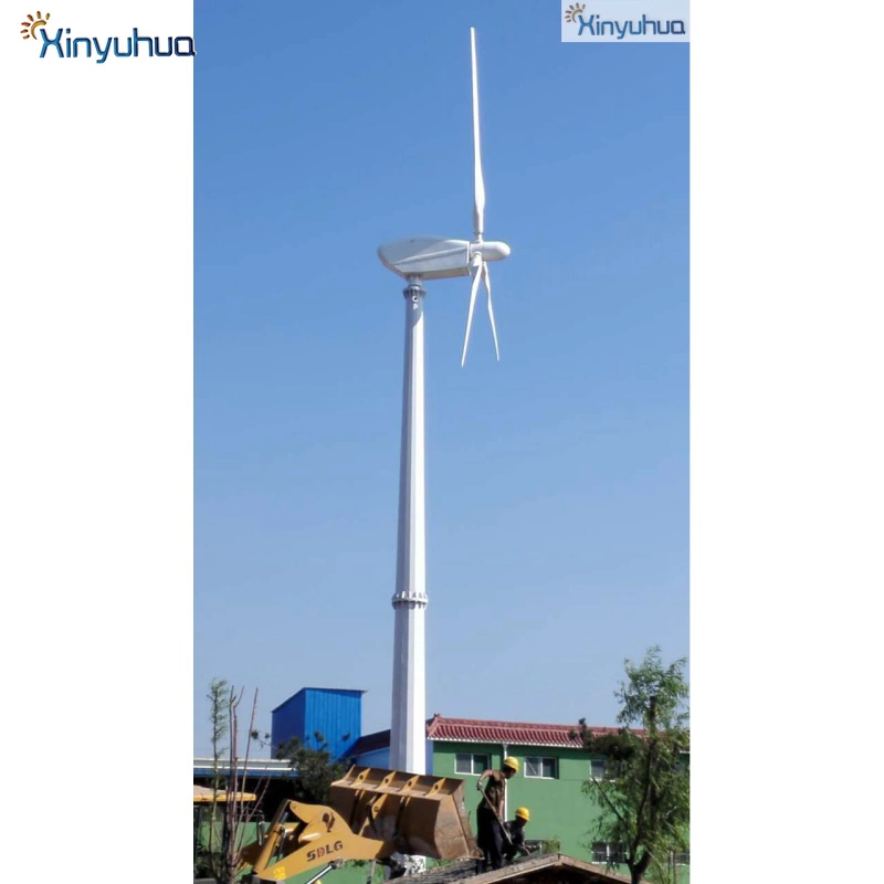 Esg High Quality Small Wind Turbine Horizontal Wind 800W Good Safety Performance Onshore Wind Power