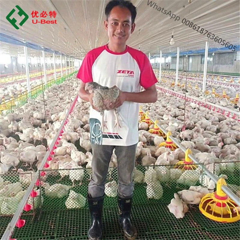 CE Approved Full Set Automatic Machine/Equipment Poultry Farming/Farm for Chicken/Broiler/Breeder