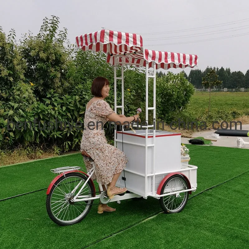 China Benfu pedal eléctrico Trike cerveza de café de comida rápida bicicleta Helados kiosco