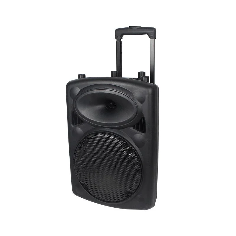 12 Inches 100W Cheap Trolley Speaker Box with Voice Navigation