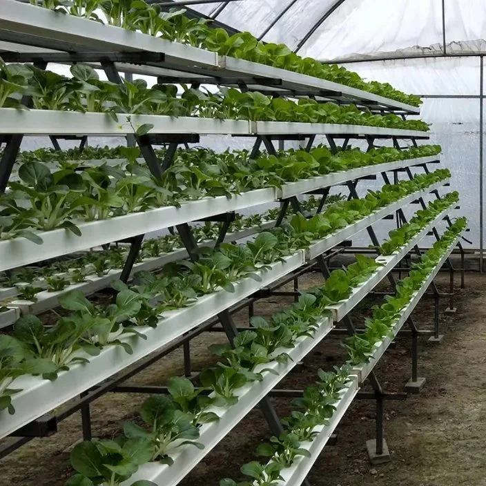 G &amp; N NFT Hydroponics Canal de PVC para o sistema de crescimento hidropônico Agrícola Estufas