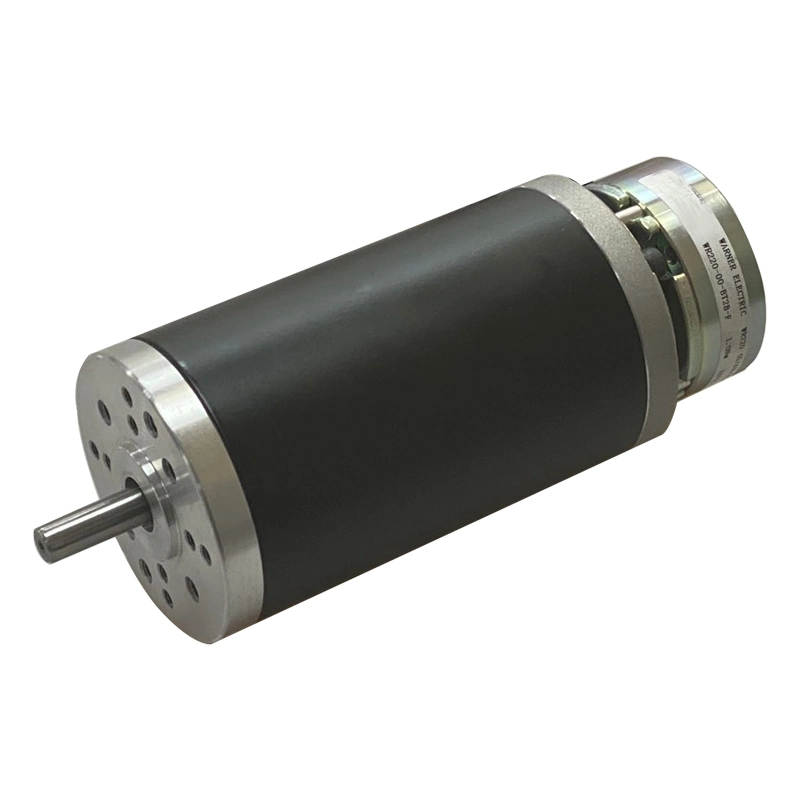 63mm Electric Vehicle DC Motor 12V 24V for Scooter and Mobility, Engineering Logistic and Agv Carts Electric Motor
