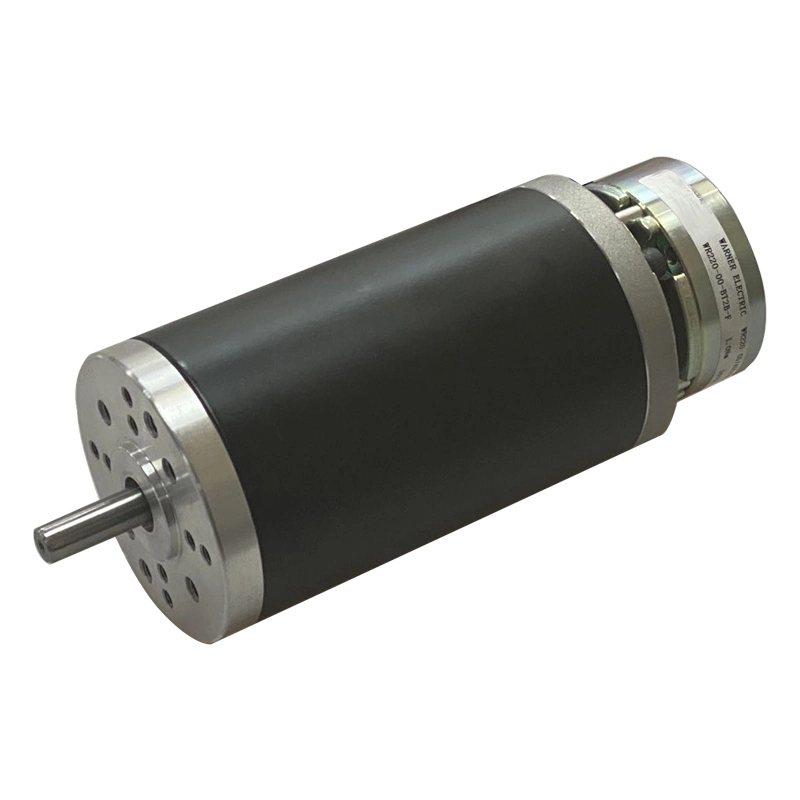 63mm Elektrofahrzeug DC Motor 12V 24V für Roller und Mobilität, Engineering Logistic und FTS Carts Elektromotor