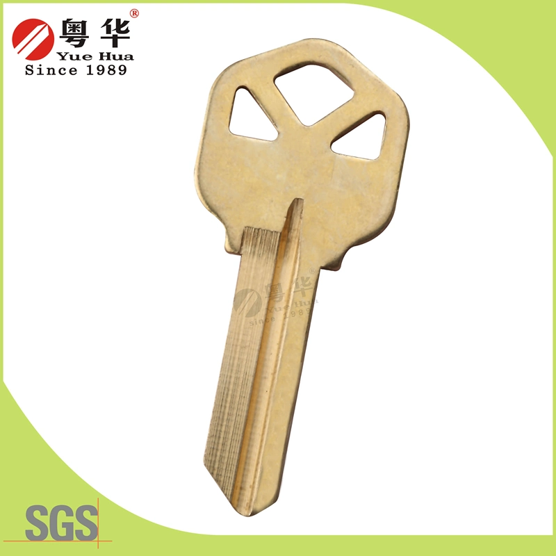 Clave personalizada blancos comercio al por mayor para el caso de llave de la puerta de duplicado llaves vírgenes