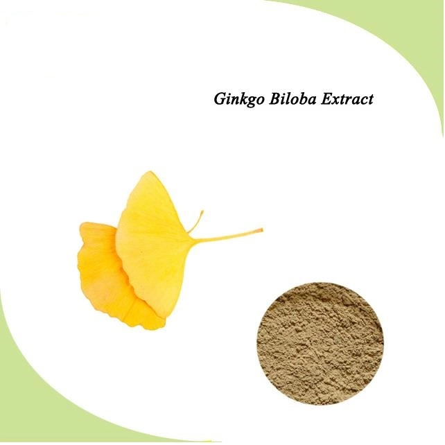 Extracto de Ginkgo Biloba 24/6/5ppm Ep, USP para la Prevención de la Demencia