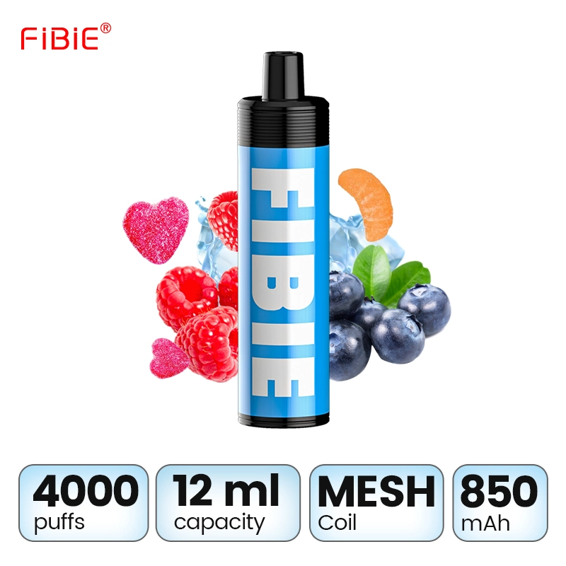 Fibie Neue Ankunft wiederaufladbare Kundenmarke 4000puffs Großhandel/Lieferant Einweg-Stift Style Lunge inhales E Zigarette Duo Mesh Spule