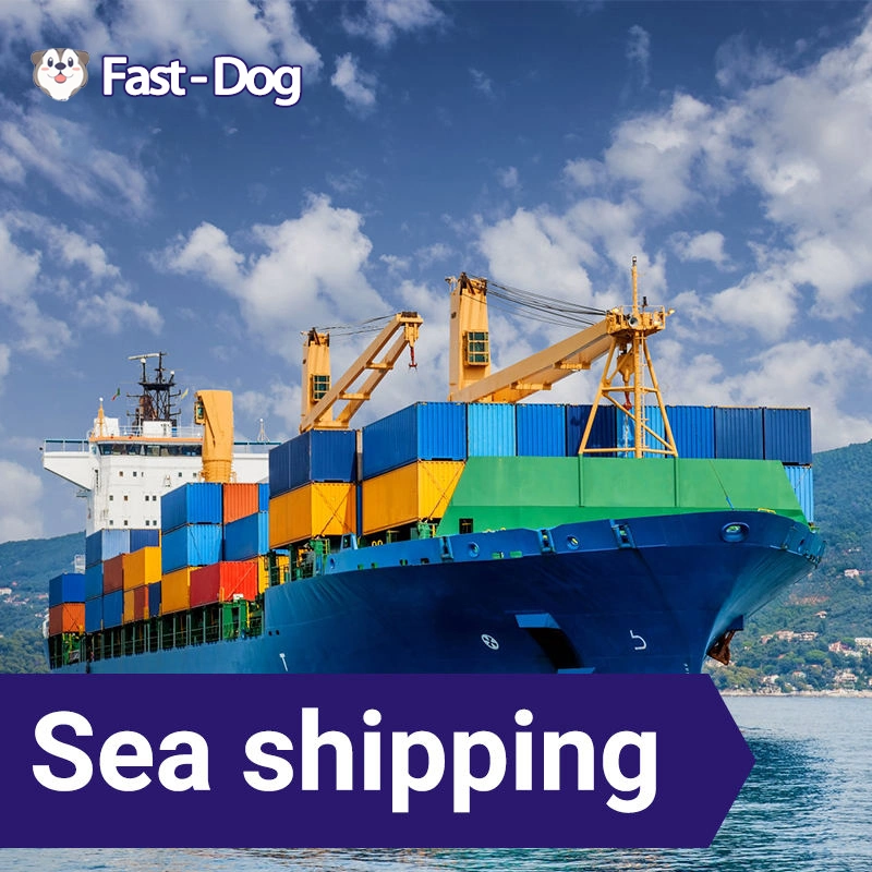 Sea Freight From Shenzhen to USA/Us/The United States Door to Door DDP