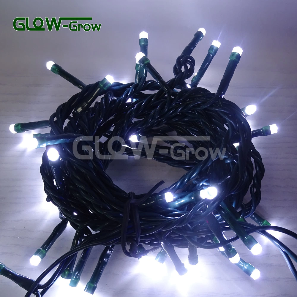 IP65 Waterproof Connectable Warm White PVC LED Fairy Christmas String Light Wedding Tree Garden Home Party Decoration with RoHS Approval