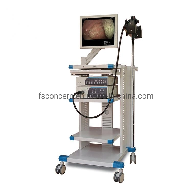 Fabrik Versorgung HD Medical Endoscope Kamera Krankenhaus Gastroscope Koloskop System