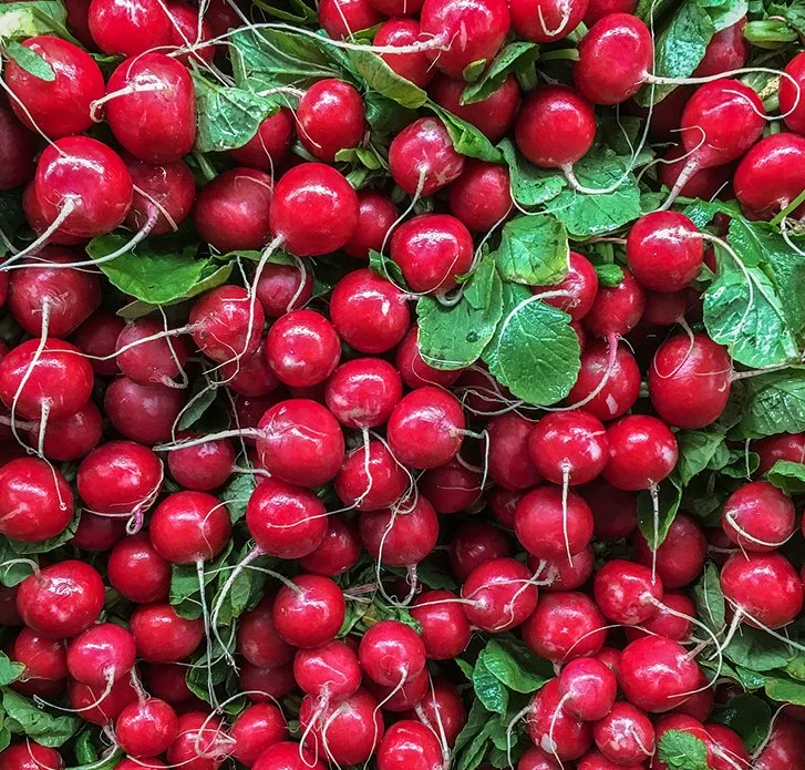 Healthy Tasty for Planting Red Cherry Radish Seeds