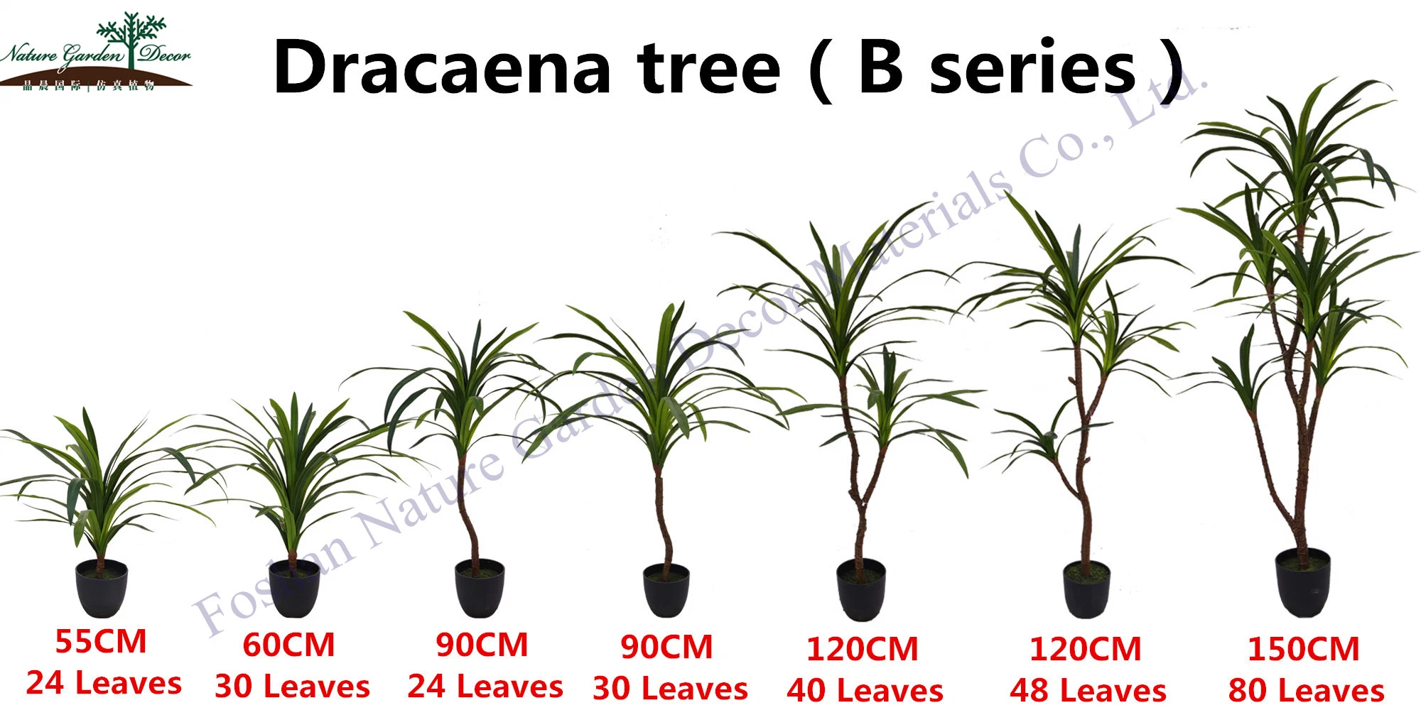 Cheap Dracaena Fragans Topiary Verde Drago de plantas tropicales de interior