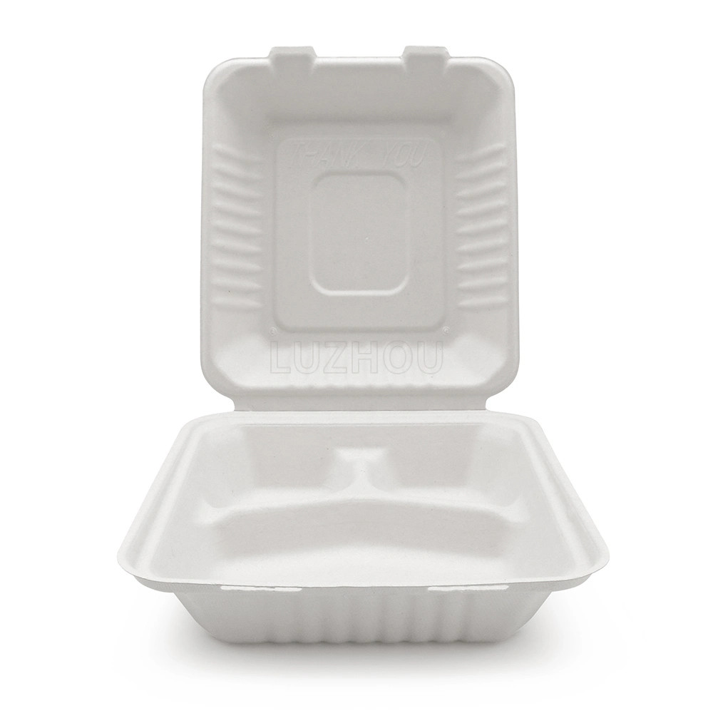 221*202*76mm 1000ml 8'' 3-compartiment alimentaire contenant canne à sucre compostable biodégradable jetable Boîte à lunch à pâte de bagasse