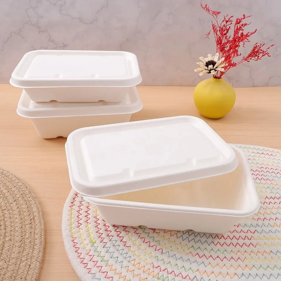 Best Selling Bagasse Cake 24oz Tray