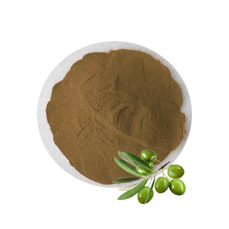 6%~60% Oleuropein Olive Leaf Extract Powder with Best Price