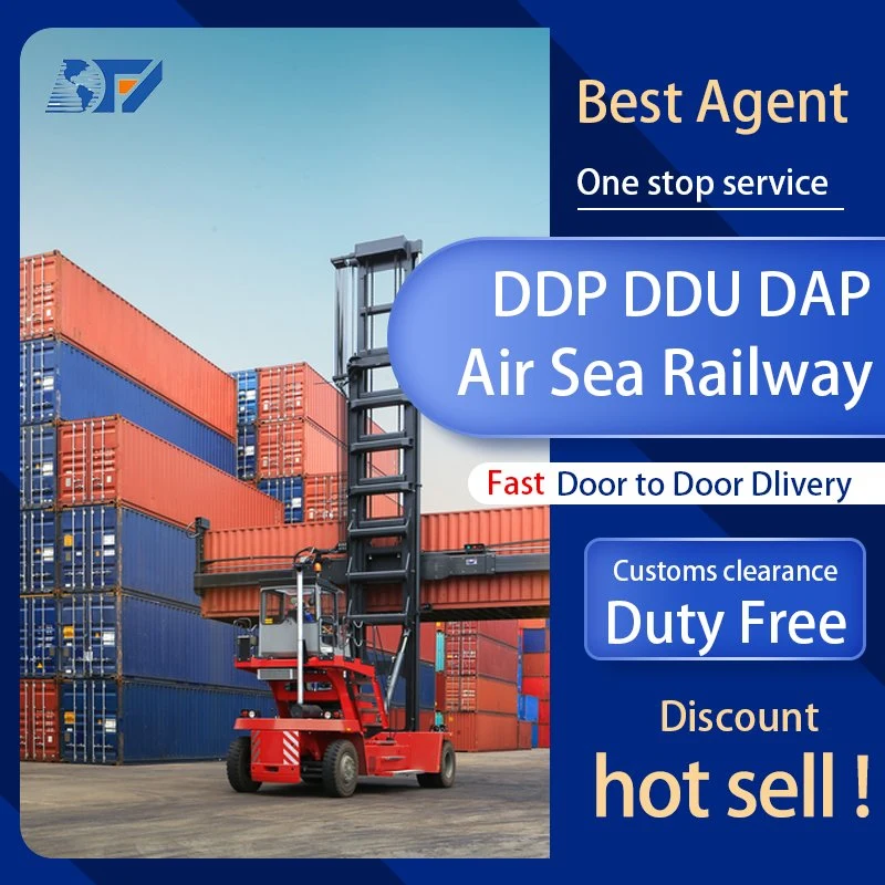 DDP Sea Freight with China Shipping Agent for Container Shipping and Shenzhen Warehouse Service to Southeast Asia USA UAE UK Worldwide with Custom Clearance