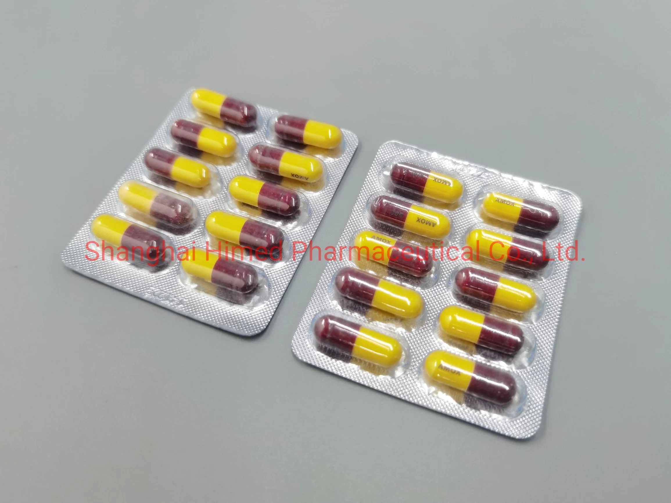 Ampicillin Sodium Powder Injection Penicillin 0.25g/250mg/0.5g/500mg/1g