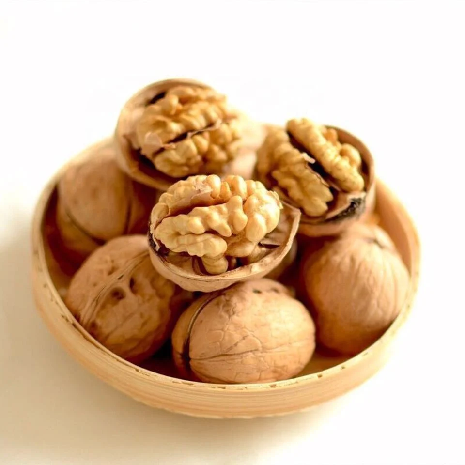 Walnut in Shell Factory Sale Good Price