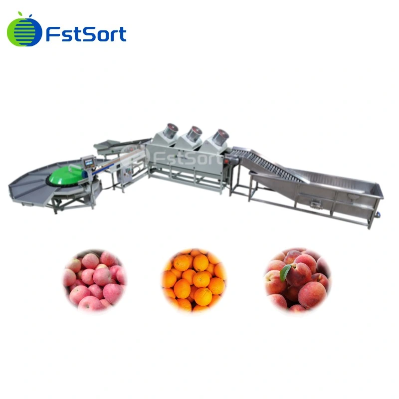 Machine de tri et de nettoyage de fruits à noyau Nectarine Pomme Agrume Orange Pêche Poire Fruit Rotary Poids