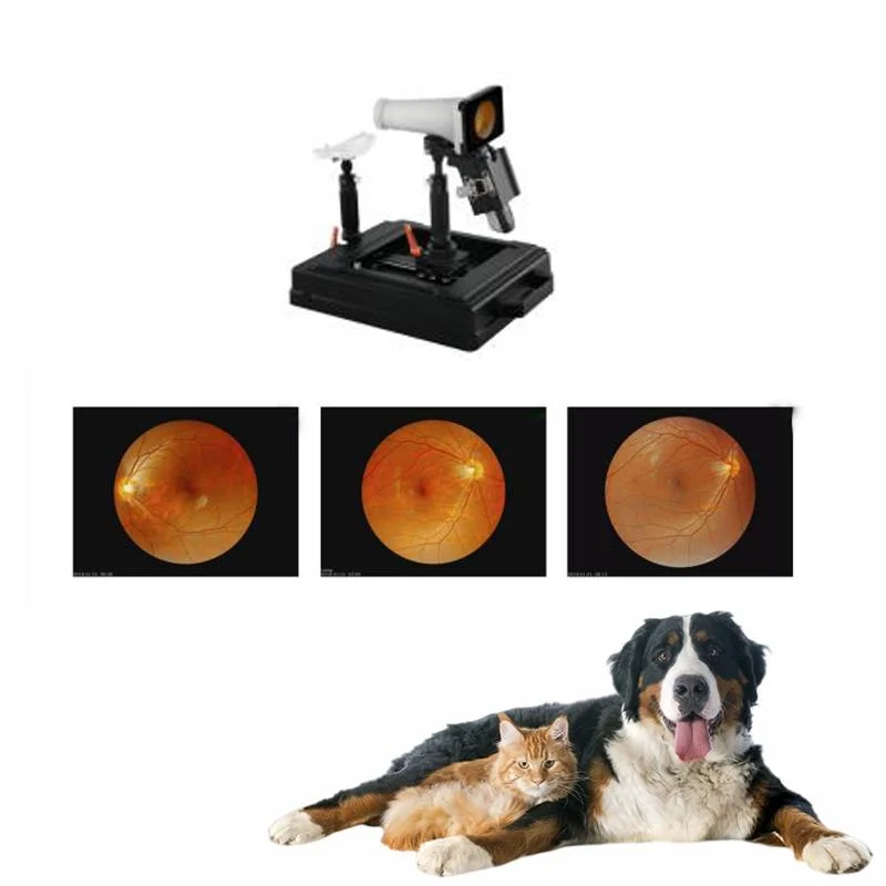 De Mano de veterinaria de la retina de la Cámara Digital Auto Fundus oftálmico Precio del equipo veterinario portátil Cámara Fundus Ojo Animal