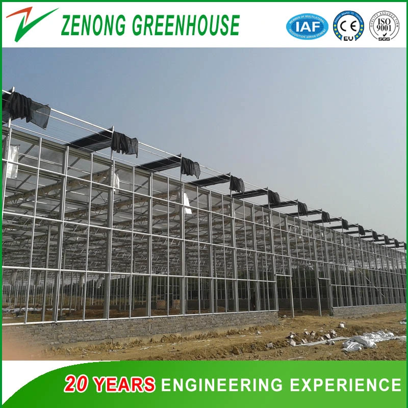 Venlo Type Agriculture Intelligent Glass Greenhouse for Planting/Experiment/Eco Restaurant/Exhibition