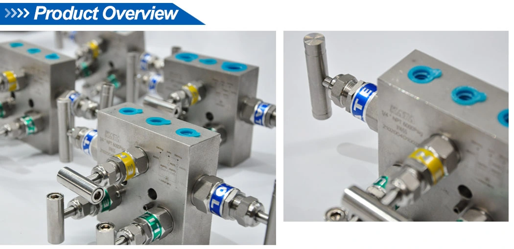 Double Block Female NPT Flange Valves Five Way Manifolds