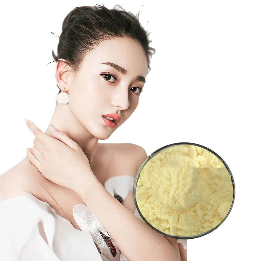 Food Grade Alpha Lipoic Acid Raw Material Pure 99% R- () - Alpha-Lipoic Acid Powder