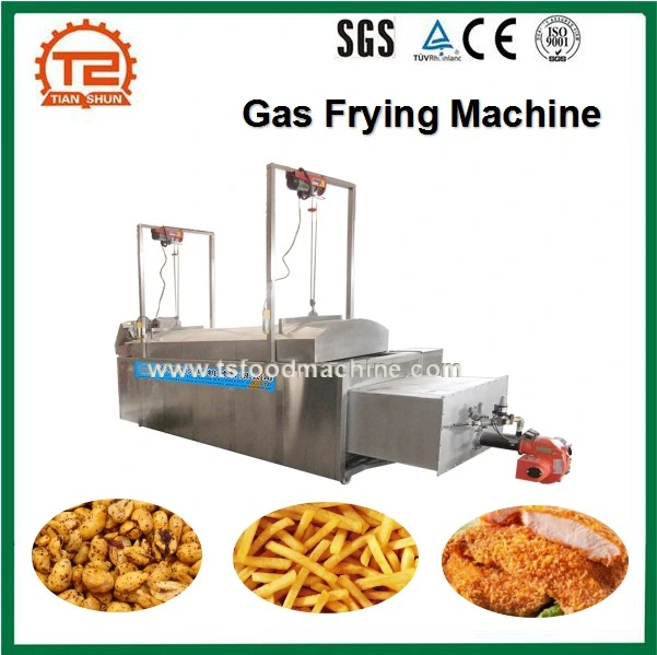 Chicken and French Fries Gas Frying Machine