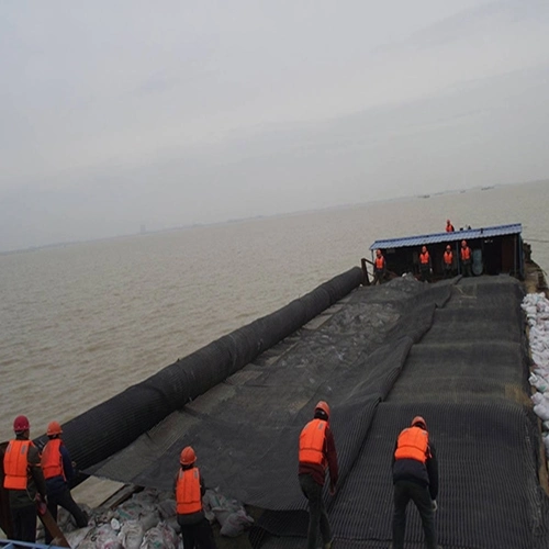 Protección personalizada de la pendiente negra refuerzo de calzada refuerzo de montaña Construcción PVC/asfalto Revestimiento de poliéster Geogrid industrial