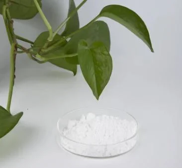 Top Pure Magnesium Carbonate with Food Grade CAS 546-93-0 Mgco3