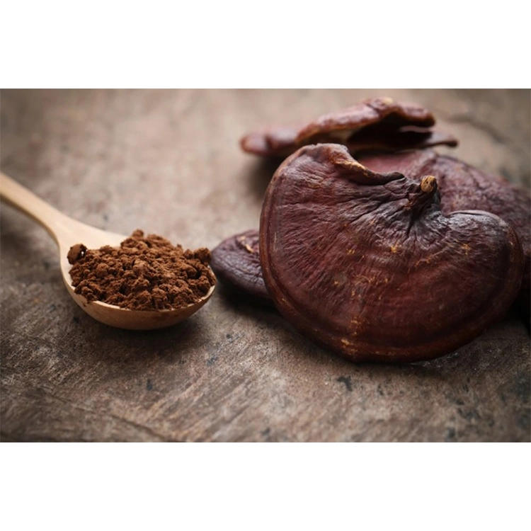 High quality/High cost performance  Reishi Mushroom Extract Organic Ganoderma Lucidum Mushroom Extract Powder Reishi Mushroom Powder