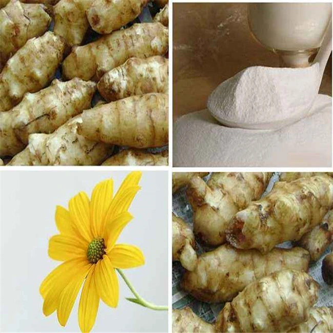 100 % Vegetable Origin Prebiotics Inulin Powder