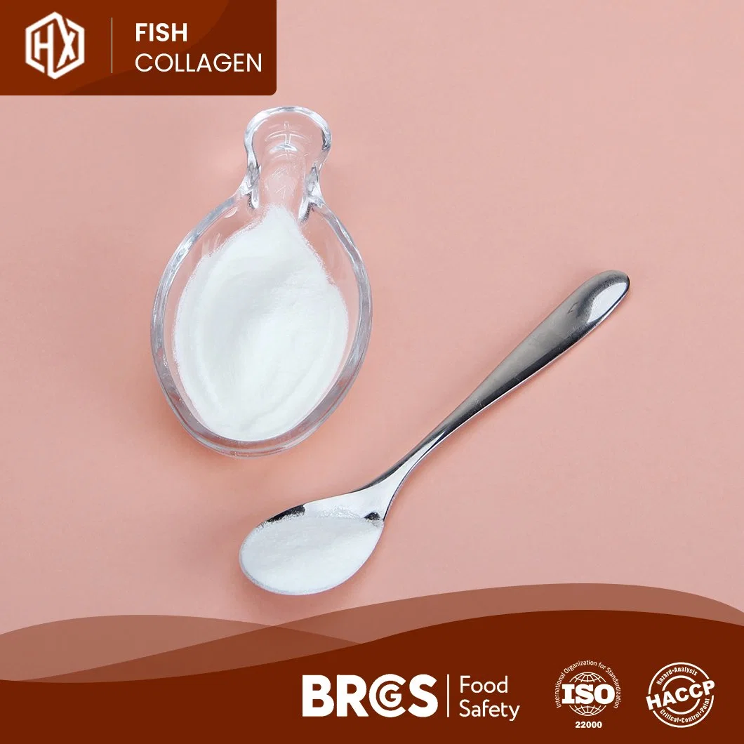 Haoxiang Anti-Aging Fish Collagen Cheap Price Skin Care Tilapia Scale Collagen Peptides Top Grade Cosmetic Grade Freely Provided Sample China Cosmetic Peptide