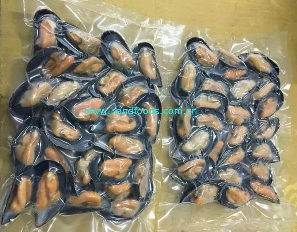 Good Quality Seafood of Frozen Cooked Half Shell Blue Mussel for People's Healthy 100% Natural