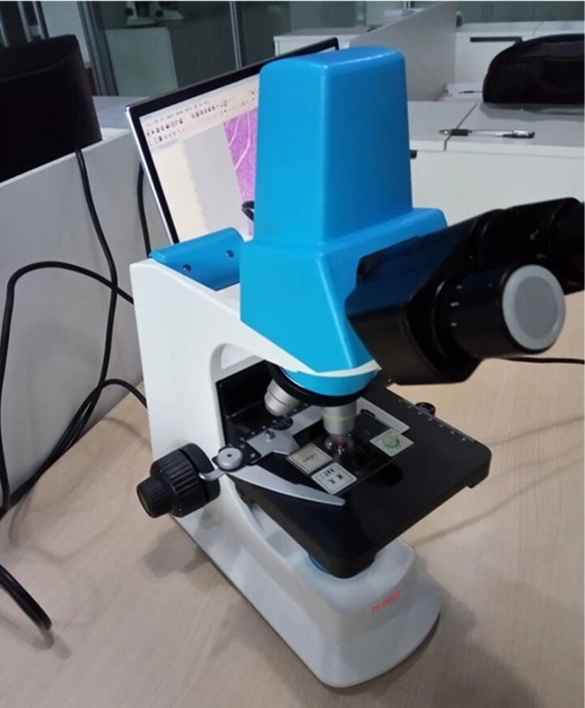 Professional Optical Laboratory Equipment Electronic Digital Binocular Microscope