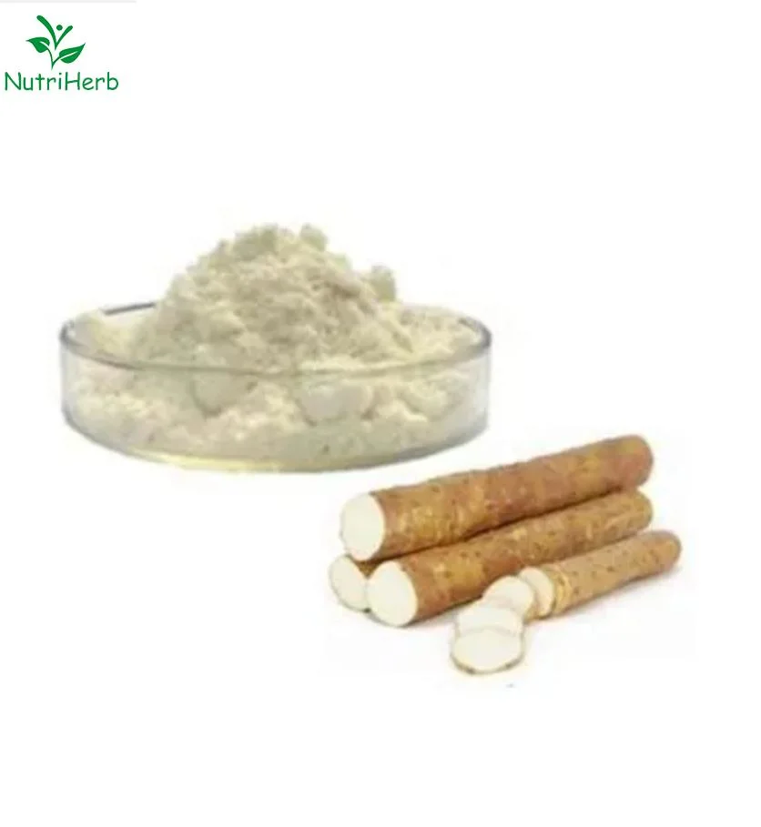 Wild Yam natural puro en polvo Extracto Diosgenine 6%-98% Fabricante