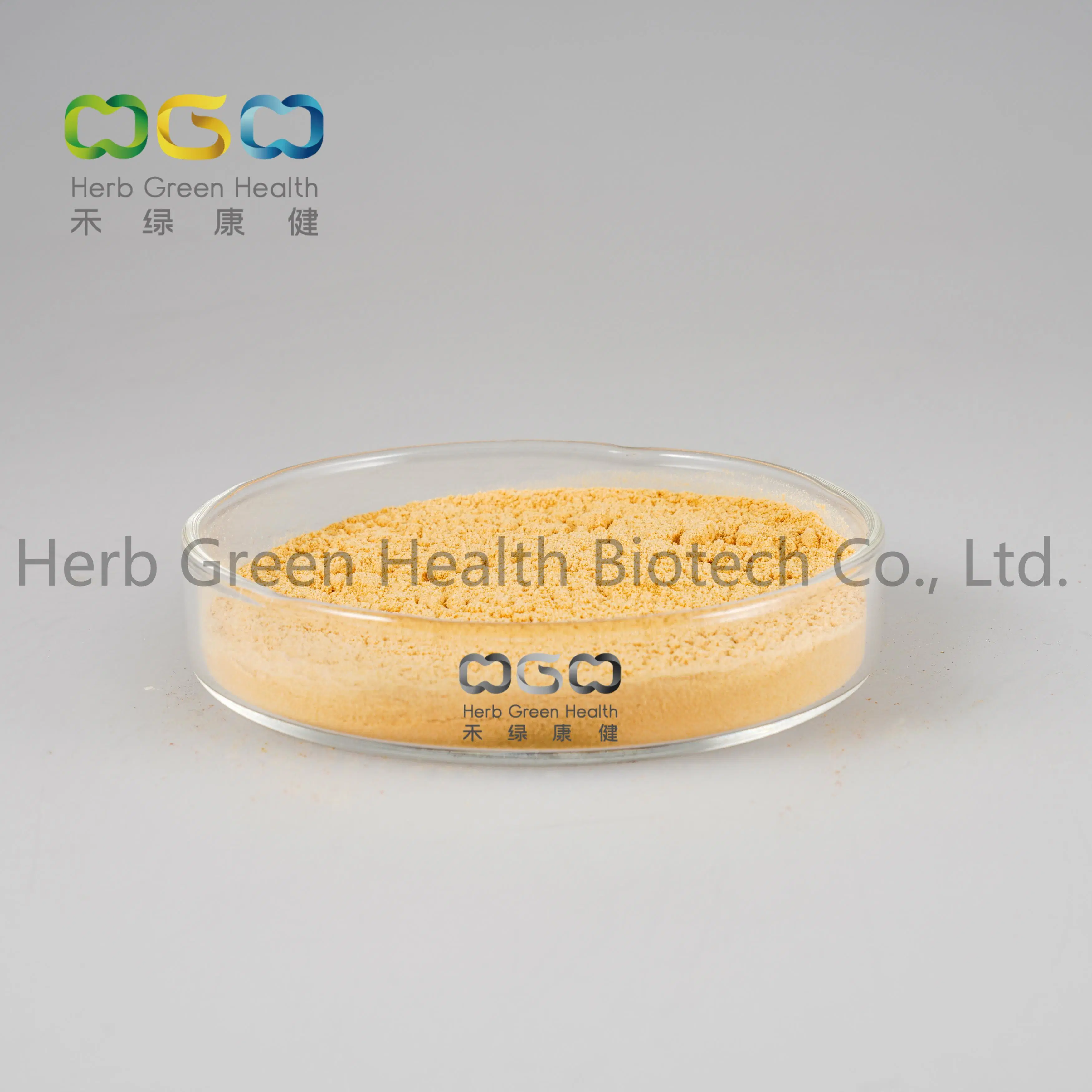 Low Pesticide Residues Wate Soluble Ginsenoside 1-20% Powder Organic Panax Ginseng Extract