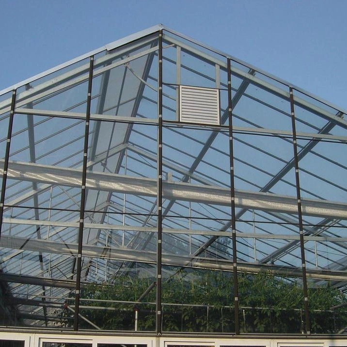 Professional Transparent Agricultural Farm Greenhouse for Tomato