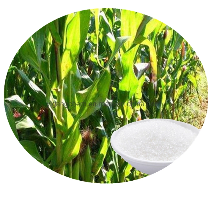 Water Retention Agent Potassium Polyacrylate Kpam for Agriculture Horticulture