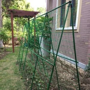 Escalada Net. Rede de suporte. Produtos de jardinagem