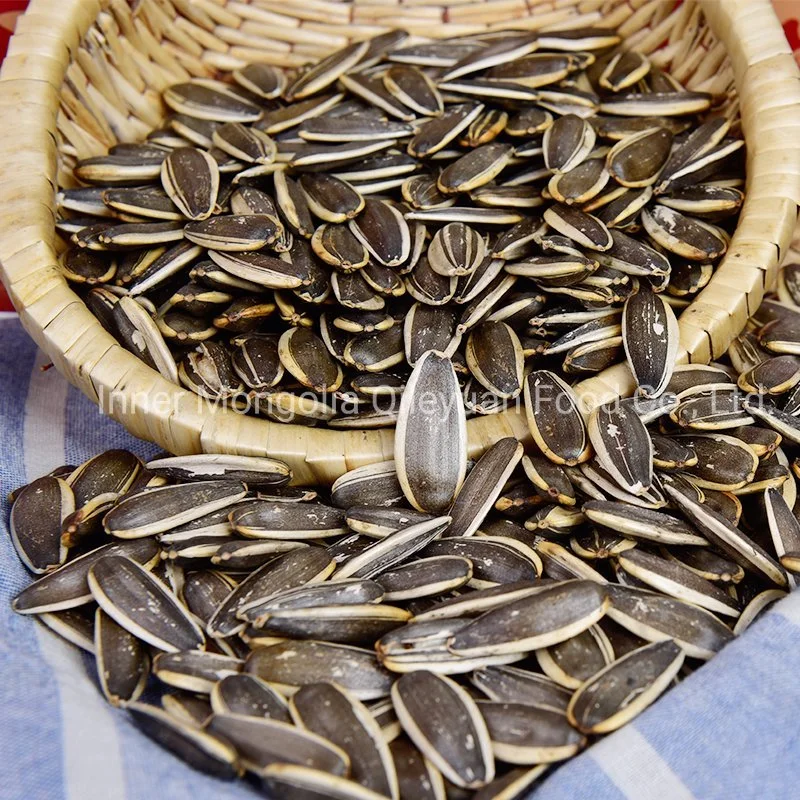 Round Shape Halal Certified Roasted Sunflower Seeds for Snack