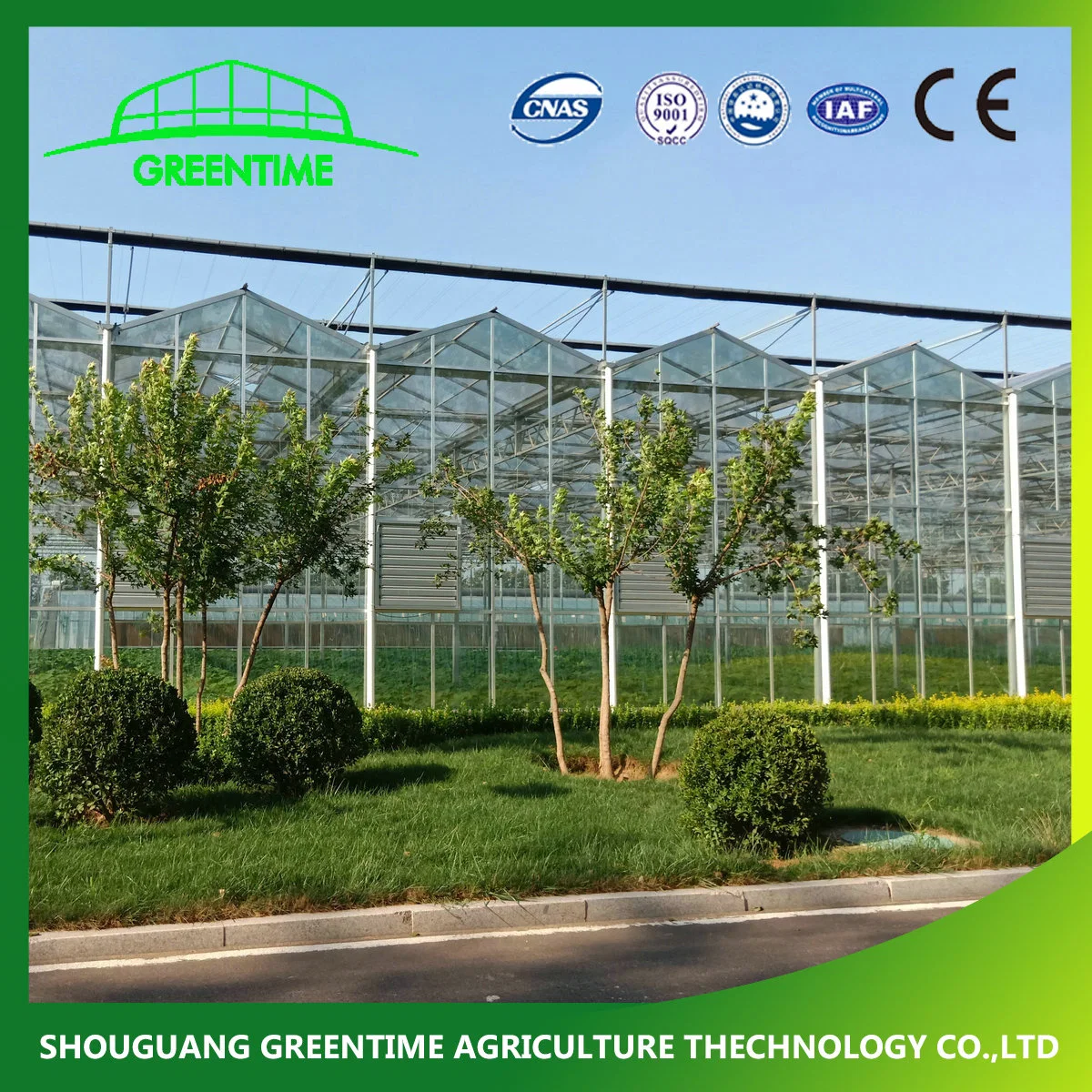 Competitive Venlo Type Galvanized Steel Structure Glass Greenhouse with Irrigation System for Hydroponics/Strawberry/Vegetables/Flowers/Tomato/Cucumber